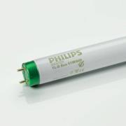 Philips G13 T8-TL-D-lamp Master Eco van 51W, 830