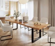 DELIFE Eettafel Classic-Edge 300x100 acacia natuur frame hoekig metaal...