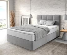 DELIFE Boxspringbed Dream-Fine 120x200 cm Microvezel Grijs met TFK Mat...