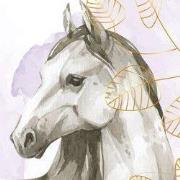 Paarden pracht - Kinderbehang - 194,8 cm x 280 cm - Walloha