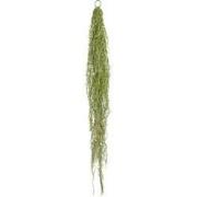 Kopu® kunstplant Tilandsia extra Lange Hangplant 140 cm - Groen