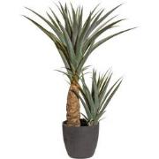 Kopu® Kunstplant Agave 80 cm in zwarte Pot - 2 stammen - Nepplant