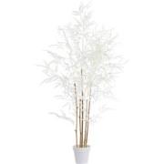 Light & Living - Kunstplant BAMBOO - 70x60x120cm - Bruin