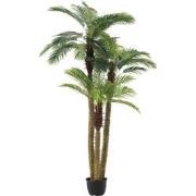 J-line - Palmboom 3delig Real Touch In Pot Plastiek Groen - 175x180x30...