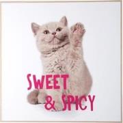 Present Time - Wall Art Kitten Sweet & Spicy - Multicolor