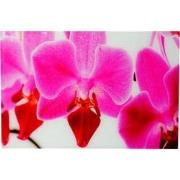 Cosmo Casa Glasafbeelding - Wandafbeelding - Poster Motief - Orchidee ...