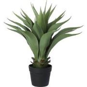 Kopu® Kunstplant Agave 57 cm in zwarte Pot - 25 bladeren - Nepplant