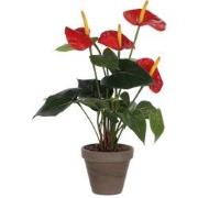 Mica Decorations Anthurium Kunstplant in Bloempot Stan - H38 x Ø30 cm ...