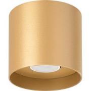 Minimalistische Plafondlamp Bergstrom Goud