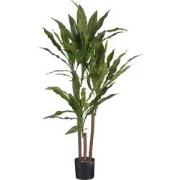 Mica Decorations Dracaena Kunstplant - H100 x Ø70 cm