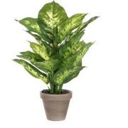 Mica Decorations Dieffenbachia Kunstplant in Bloempot Stan - H40 x Ø30...