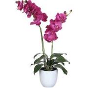 Mica Decorations phalaenopsis paars tusca wit (dia 12) - 45x28x50