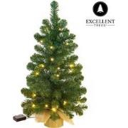 Excellent Trees® Jarbo Mini Kerstboom 75 cm met verlichting - Kunstker...