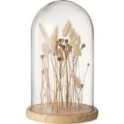 J-line - Stolp Droogbloemen Ecru/bruin Glas Hout Large - 21x21x37cm