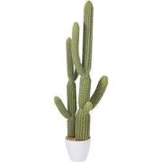 J-line - Cactus+pot Plastic Groen/melamine Wit Large - 36x20x115cm