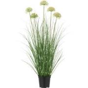 J-line - Gras Met Bloem In Pot Pvc Groen - 33x33x72cm