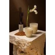 PTMD - Oud Minerale Fragrance candle + sticks