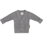 Baby's Only Vestje Soul - Grijs - 80 - 100% ecologisch katoen