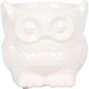 Kolibri Home | Owl bloempot - Witte keramieken sierpot - Ø6cm