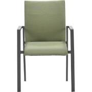 Dallas dining fauteuil carbon black/ moss green