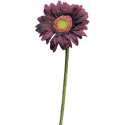 Daisy gerbera aubergine 48 cm kunstbloem