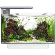 Superfish quadro 40 multi colour wit