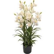 Cymbidium kunstplant 90 cm, wit