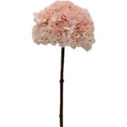 Kunstbloem hortensia 66 cm, creme/roze