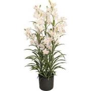 Cymbidium kunstplant 125 cm, wit