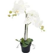 Orchidee kunstplant 3-tak 68 cm, wit