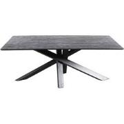 PTMD Alore Black Black Diningtable Rectangle 280 Cm