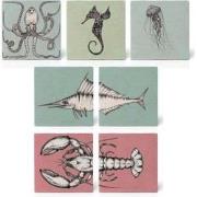 Ligarti set van 7 onderzetters Sea Creatures