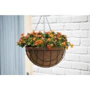 3 stuks - Hanging basket metaaldraad groen geepoxeerd incl. ketting H1...