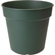 5 stuks - Bloempot Green basics kweekpot 24cm blad groen