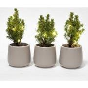 URBANJNGL - Mini kerstboom set 3 - Inclusief 3x pot Joey grijs + 20 LE...