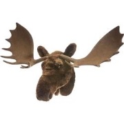 House of Nature Eland hoofd 46cm