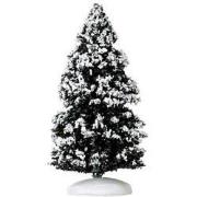 Evergreen tree medium