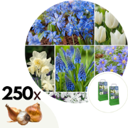 Bulb Garden Blue - 250x Bloembollen Mix - Voor Tuin, Terras of Balkon