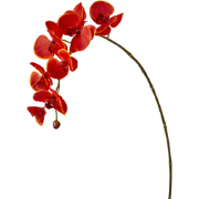 Kunstmatige rode phalaenopsis steel H82