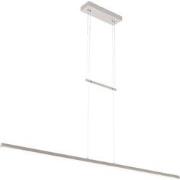 Moderne Hanglamp Celeste Staal