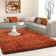 Tapijtenloods Basic Shaggy vloerkleed Terra / Oranje Hoogpolig- 80x150...