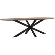 DTP Home Dining table Shape oval,78x280x120 cm, recycled teakwood