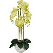 Mica Decorations Kunstplant Phalaenopsis - 40x34x82 cm - Polyester - G...