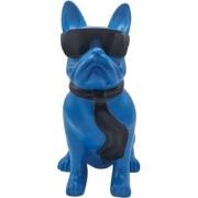 Beeld Franse Bulldog Bril Blauw