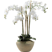 Witte kunstmatige orchidee samenstelling H86