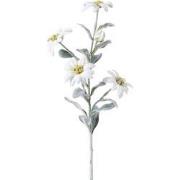 Tige d'Edelweiss Noël - Blanc / 45 cm