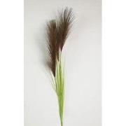 Pampas gras 80cm met blad bruin