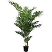 Areca palm 185 cm