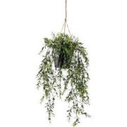 Hangplant met pot 2