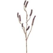 Callistemon branch burgundy 85 cm